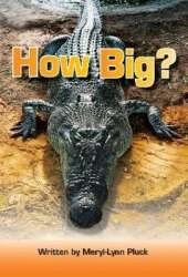 How Big