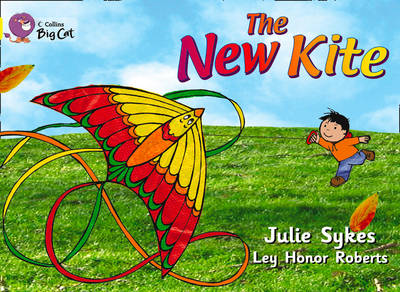 The New Kite Workbook