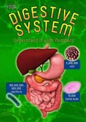 Your Digestive System: Understand it with Numbers