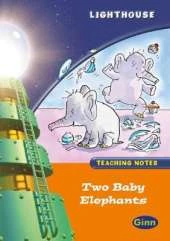 Lighthouse Year 1 Orange Two Baby Elephants Teachers Notes