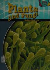 Plants and Fungi