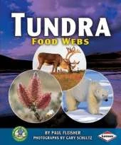 Tundra Food Webs