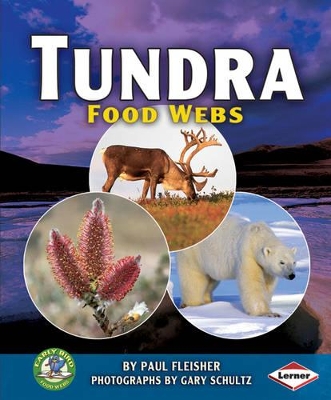 Tundra Food Webs