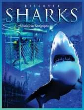 Discover Sharks