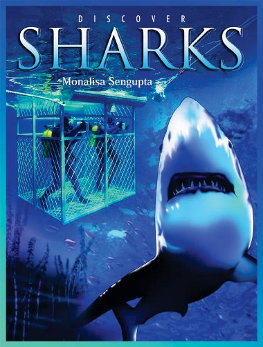 Discover Sharks