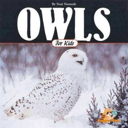 Owls for Kids