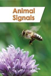 Animal Signals