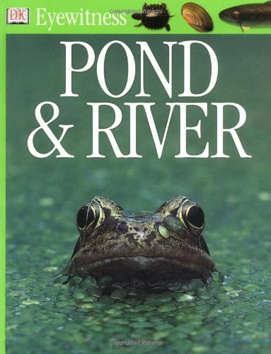 Pond & River
