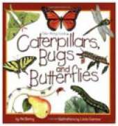Caterpillars, Bugs and Butterflies