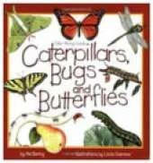 Caterpillars, Bugs and Butterflies