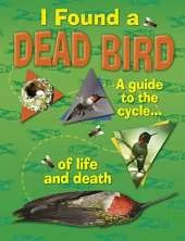 I Found A Dead Bird - A guide to the cycle of life and death