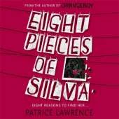 Eight Pieces of Silva: an addictive mystery that refuses to let you go …