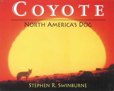 Coyote: North America's Dog
