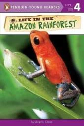 Life in the Amazon Rainforest