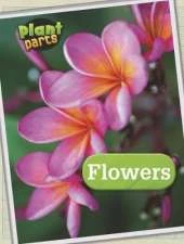 Plant Parts Pack A of 4
