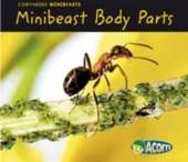 Minibeast Body Parts