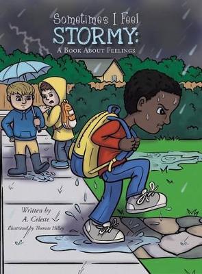 Sometimes I Feel Stormy: A Book About Feelings