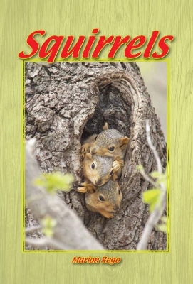 Squirrels