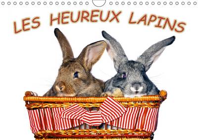 Les Heureux Lapins: Des Lapins Devant L'appareil Photo. Nous Les Lapins, Nous Aimons Etre Pris En Photo.