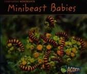 Minibeast Babies