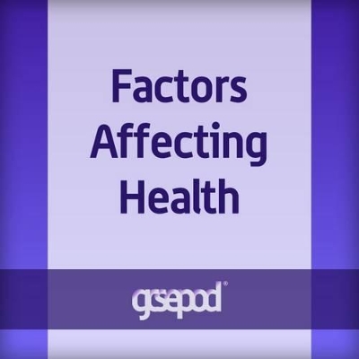 Balanced, Active, Healthy Lifestyles: Factors Affecting Health