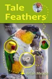 Tale Feathers