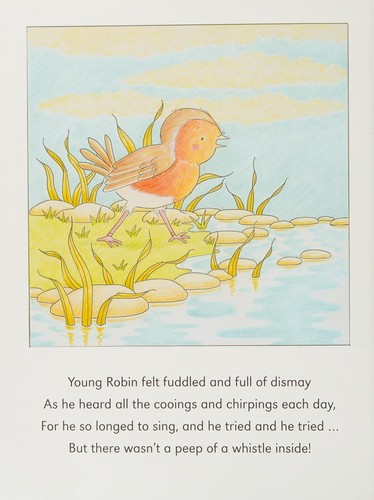 Robin's Song