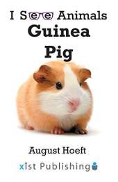Guinea Pig