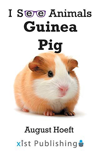 Guinea Pig