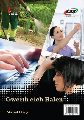 Gwerth Eich Halen/dyddiadur Ifan