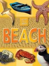 What Can I See?: Beach