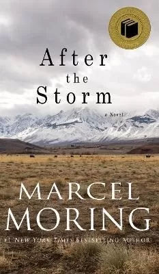 After the Storm