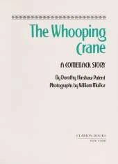 The Whooping Crane: A Comeback Story