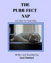 The Purr-fect Nap
