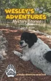 Wesley's Adventures: Mystery Stories
