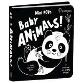 Baby Animals