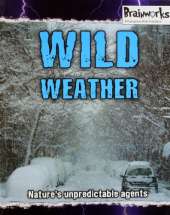 Wild Weather