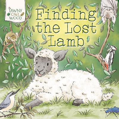 Finding the lost Lamb
