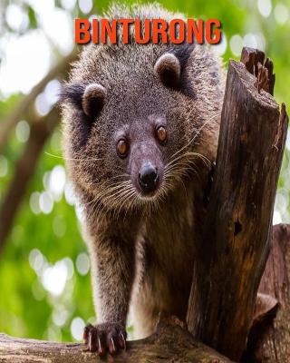 Binturong: Beautiful Pictures & Interesting Facts Children Book About Binturong