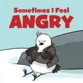 Sometimes I Feel Angry: English Edition