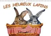 Les Heureux Lapins: Des Lapins Devant l'Appareil Photo. Nous les Lapins, Nous Aimons Etre Pris en Photo.