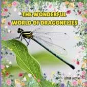 The Wonderful World Of Dragonflies: Interesting Facts About Dragonflies