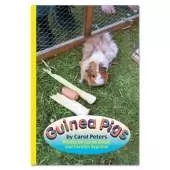 Guinea Pigs