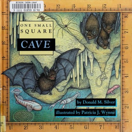 Cave