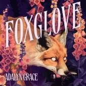 Foxglove: The million-copy bestselling gothic fantasy romance series from the author of The Wretched Divine perfect for fans of Rachel Gillig