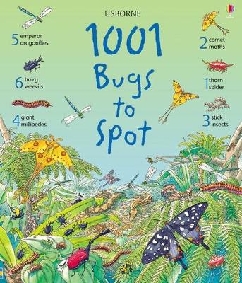 1001 Bugs Things to Spot