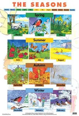Seasons