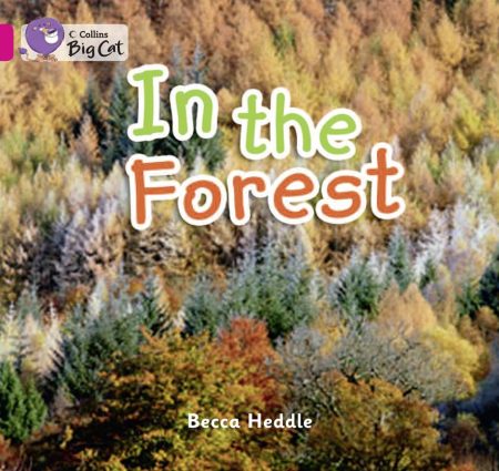 In The Forest Workbook
