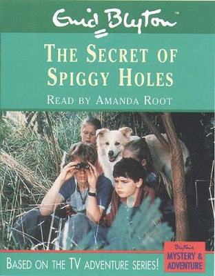 The Secret of Spiggy Holes