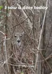 I saw a deer today